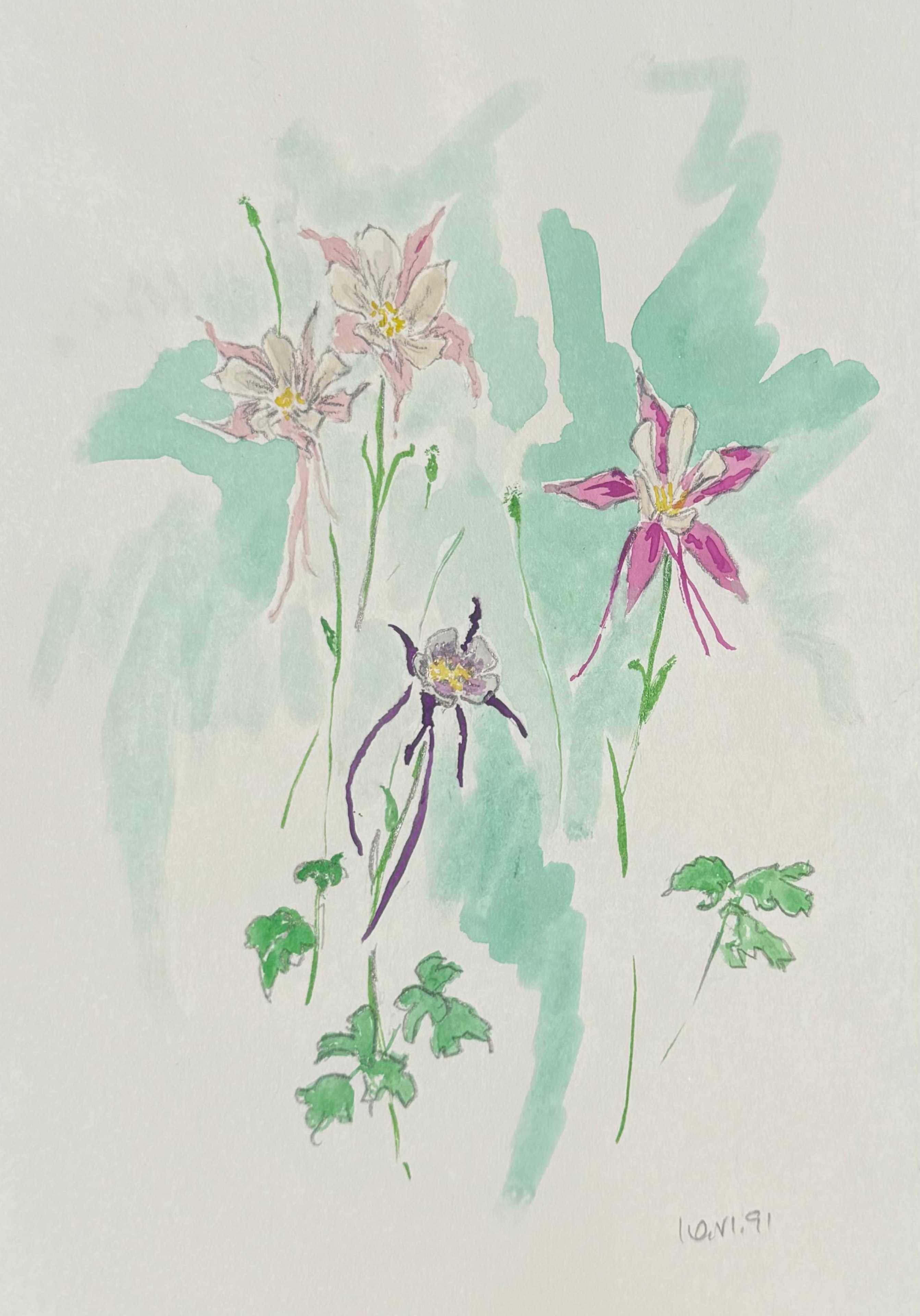 Columbines Study