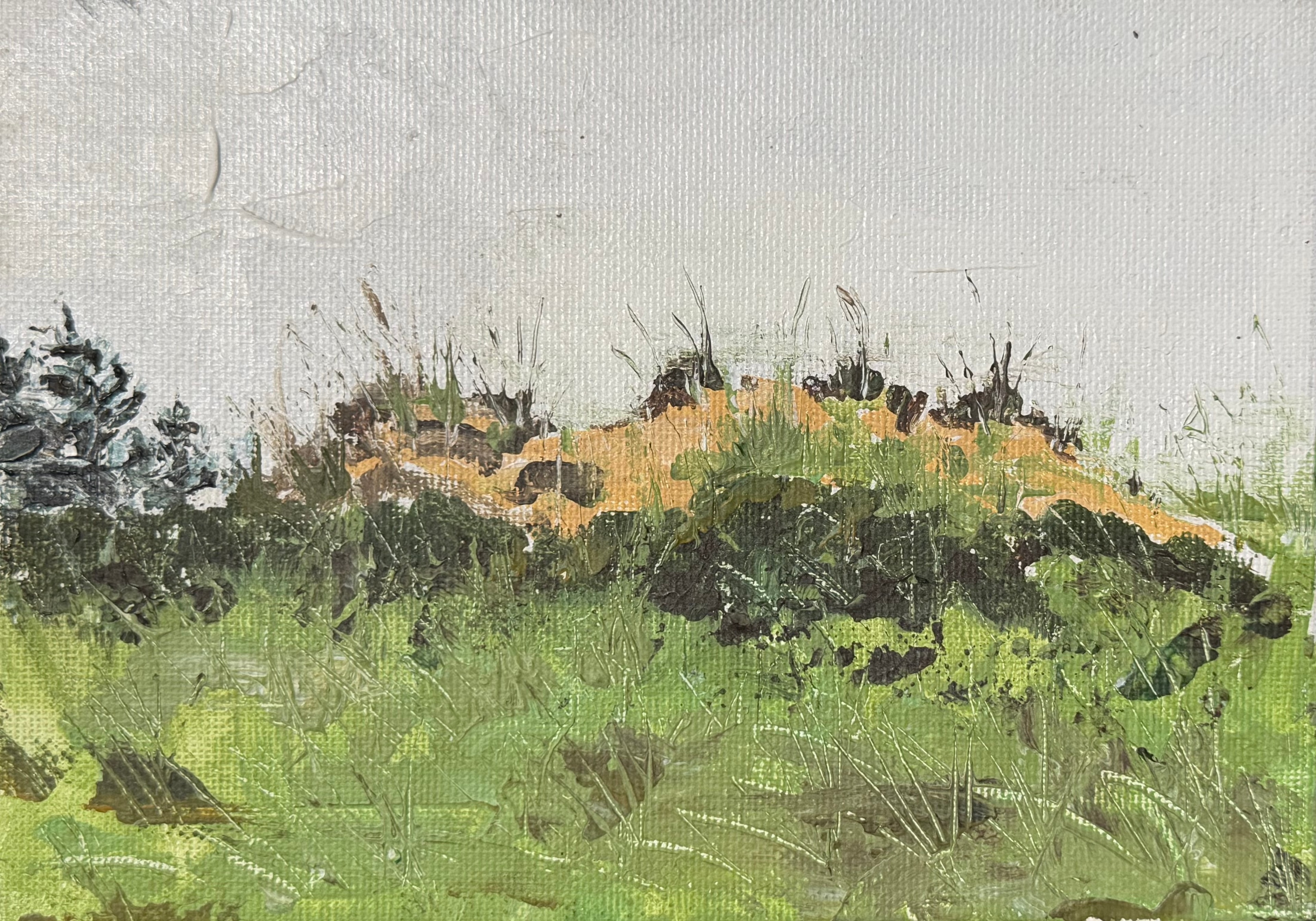 Wellfleet (left panel)